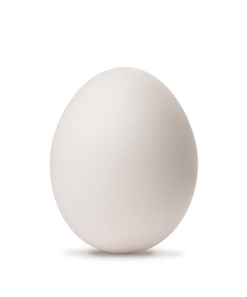 The Importance of Protein